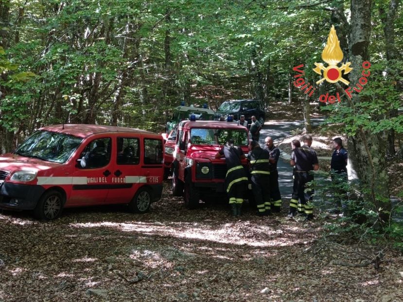 Pensionato si perde nel bosco mentre cerca funghi, ritrovato dai vigili del fuoco