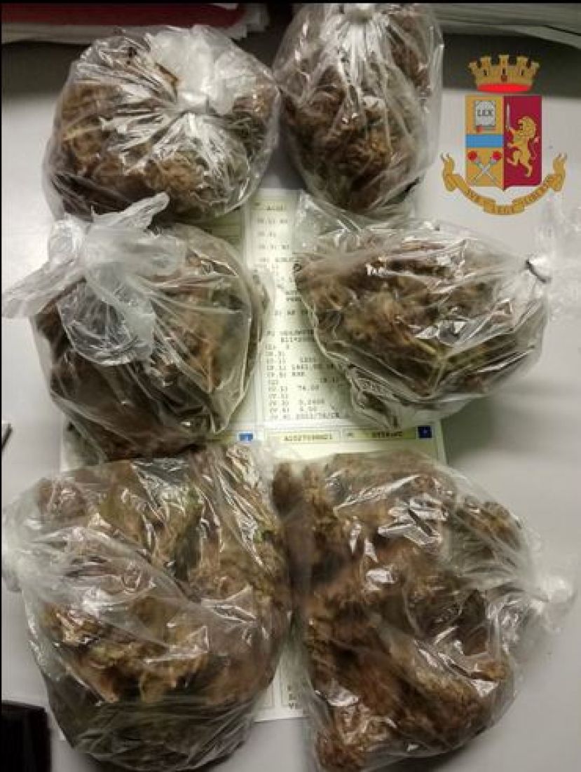 Marijuana a casa di un sessantenne, scatta la denuncia